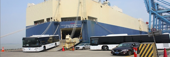 RORO SHIP AND BULK SHIP